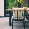 Condor luksusowy zestaw stołowy ogrodowy krzesła ogrodowe Apple Bee meble ogrodowe